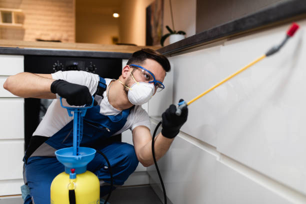 Best Rat Extermination Near Me  in Dewitt, IA