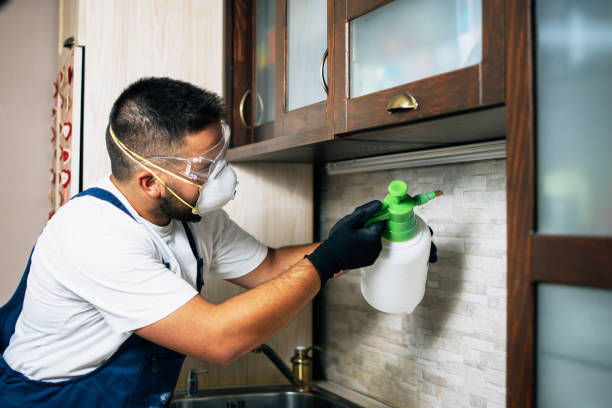 Best Pest Inspection Near Me  in Dewitt, IA