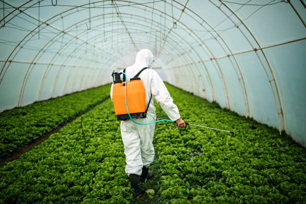 Best Residential Pest Control  in Dewitt, IA