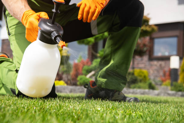 Best Exterminator Services  in Dewitt, IA