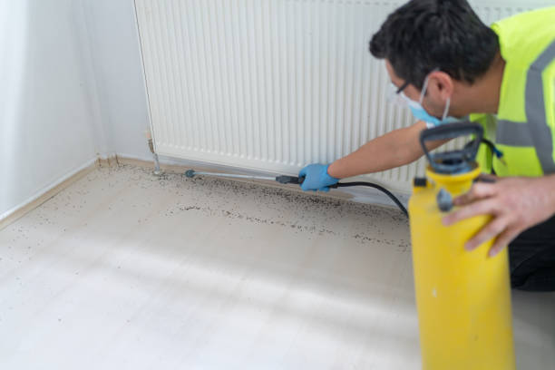 Best Affordable Pest Control Services  in Dewitt, IA